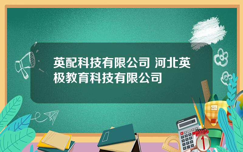 英配科技有限公司 河北英极教育科技有限公司